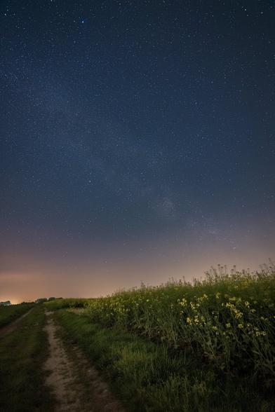 EN: View along a way on a field of rapseeds. In the background there's some lightpollution from a village and on the clear sky are the Milky Way and some other stars.

DE: Blick entlang eines Weges an einem Rapsefeld. Im Hintergrund definiert die Lichtverschmutzung den Horizont, über dem sich die Milchstraße und ein paar Sterne erheben.