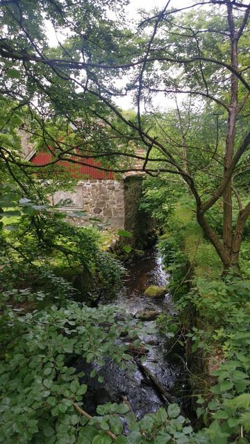 A narrow stream flows alongside a stone building with a red wooden upper section, surrounded by dense greenery. Overhanging branches and leaves create a natural canopy above the stream. The building's stone wall lines one side of the stream, while the other side is bordered by lush vegetation and a grassy bank. The scene is tranquil and shaded, highlighting the harmonious blend of natural and built elements.