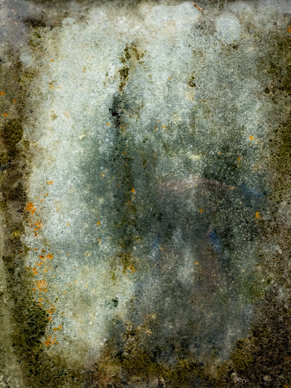 Abstract of mould on a a window