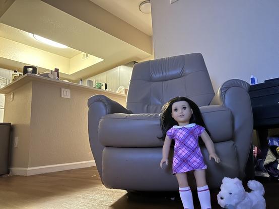 image shows Piper (an 18in doll) standing in front of a beige recliner chair. She has medium-length, wavy black hair, green eyes, and light skin. She is dressed in a pink and purple plaid short-sleeved dress with a white collar. She is also wearing white kneecap socks with a pink stripe at the top, and white flats.

Next to Piper is her dog, Coconut Chip. Coconut Chip is a small, white stuffed dog with a fluffy appearance. The dog is standing on all four paws and has a cute, round face with small black eyes and a black nose. Her ears are perky and pointed, and she has a fluffy tail. Coconut Chip is holding a newspaper chew toy in her mouth.