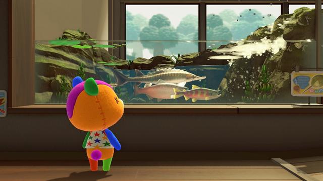 Animal Crossing: New Horizons screenshot. Image of Stitches (bear cub made of multiple colors that looks like a raggedy doll) from behind looking upward at an aquarium with a handful of fish.