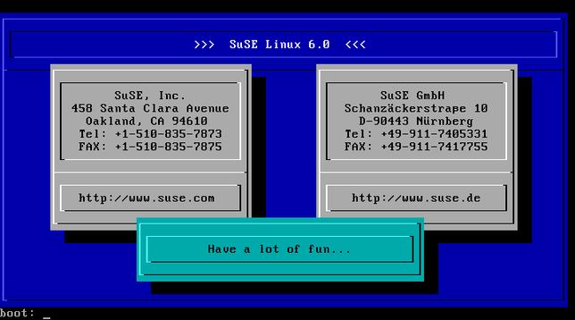 Screenshot of the initial SuSE 6.0 setup screen.