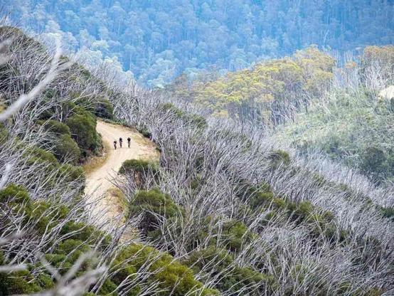 Four people hike along a winding dirt path through a forested mountain landscape, with hills covered in green and dry foliage.