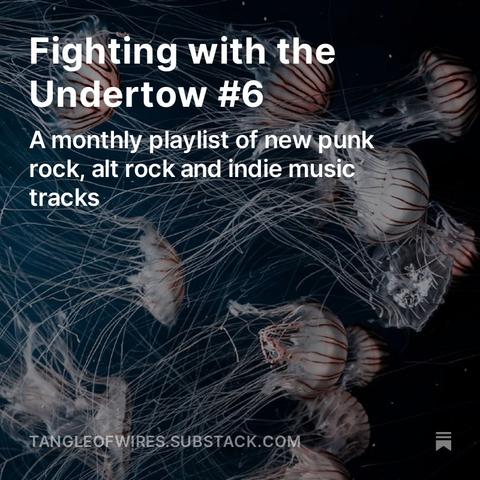 Jellyfish illuminated and slightly transparent against a dark sea