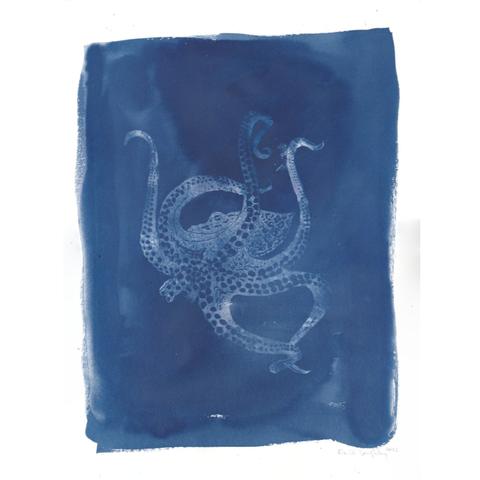 My cyanotype in made with the image of my linocut octopus. It appears a ghostly white against the blue background.