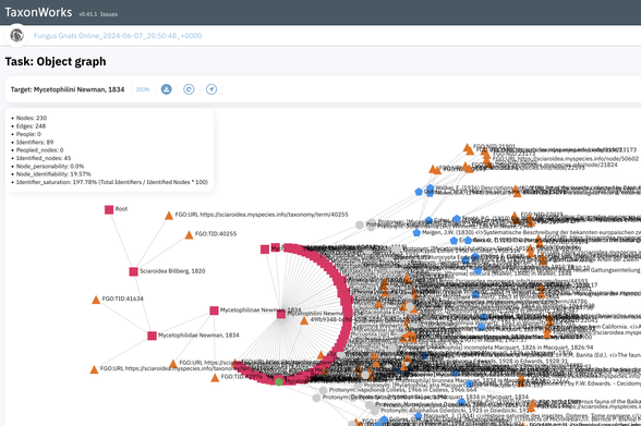 Fungus Gnat Online name data visualized as a network graph in TaxonWorks.