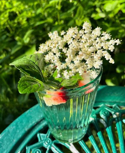 An elderflower and mint mocktail in a garden