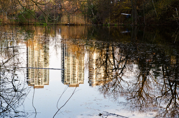 A still pond, the surface dotted with winter leaves, clearly reflects three condominium towers in the late light of the day. Reeds grow at its edges and, on the far side, a canoe is tied to a makeshift dock.