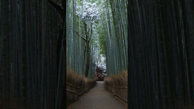 When You Visit Japan in Winter❄️ 🇯🇵