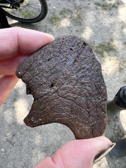 Andere kant van het bot. Je ziet allerlei lijnen lopen over de bruine, redelijk platte kant.