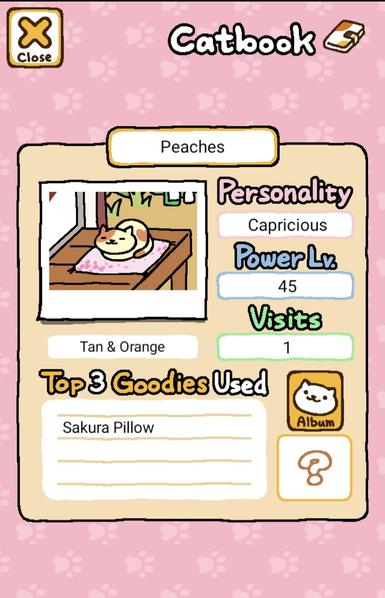 catbook entry on peaches, a capricious, tan & orange cat. it's resting on a sakura patterned cushion.