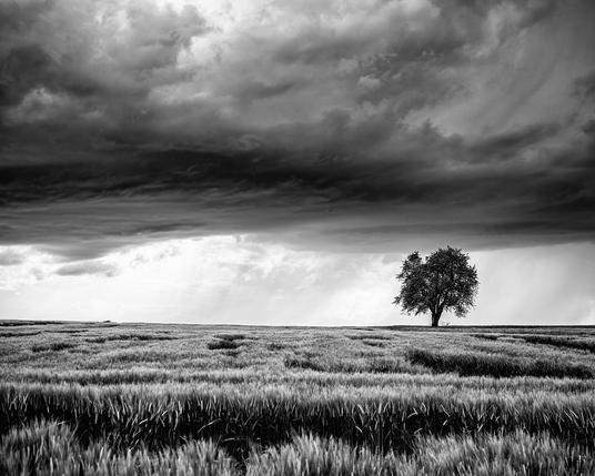 olympus omd - lightroom - silver efex pro - lightroom