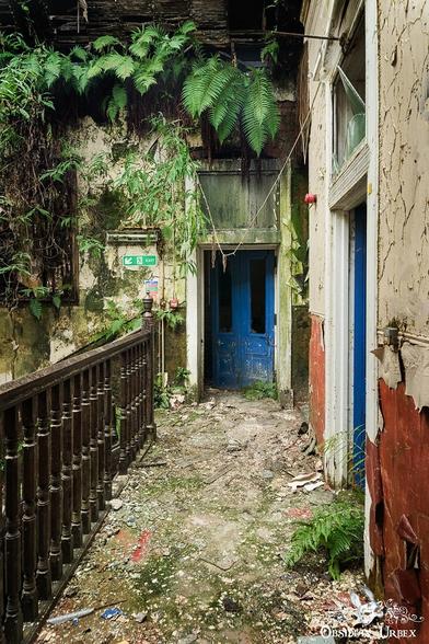 abandoned school, landing blue door and ferns