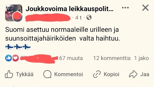 Eräässä suuressa politiikka-aiheisessa ryhmässä joku postasi EU-vaalien tuloksen jälkeen, että "Suomi asettuu normaaleille urilleen ja suunsoittajahäiriköiden valta haihtuu". + kolme Suomen lippua