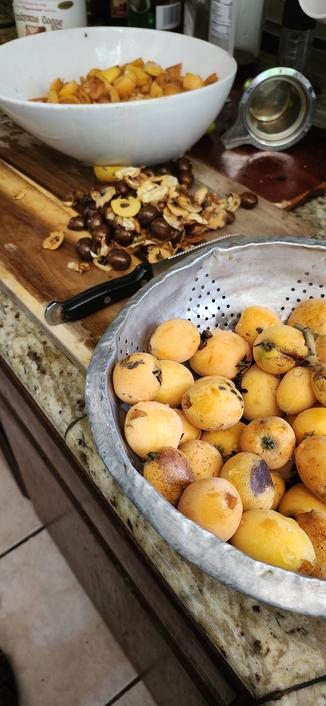 From front to back on a kitchen counter: There is a sieve of whole washed loquat fruits. A paring knife and a pile of loquat seeds and trimmings on a cutting board,  and a bowl of seeded and quartered loquats in a bowl in the background