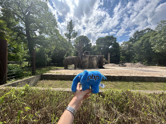 A php elephant in comparison in the zoo to a living elephant