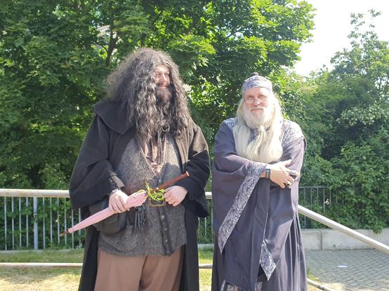 Hagrid und Dumbledore Cisplay