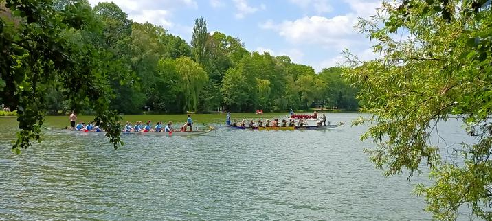 Startaufstellung zweier Drachenboote für das Rennen auf dem #Schwanenteich in #Zwickau