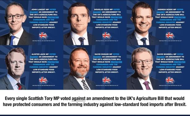 A poster showing all of the Tory MPs in Scotland. They all voted against an amendment to the UK agricultural bill which would have protected the farming industry post-brexit