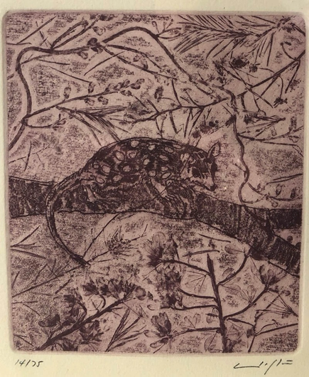3 etchings, each featuring an illustration of a different Australian marsupial on a branch amongst foliage, all sepia toned in portrait orientation on cream colored paper and signed & numbered on bottom margin etching 3: Eastern Quoll
