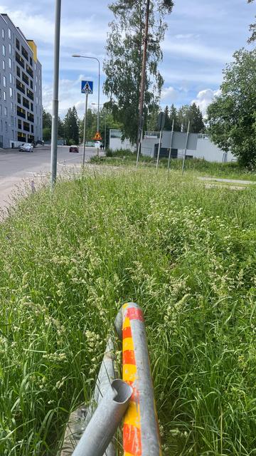 nokkospöheikkö lähiössä