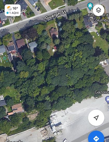 Aerial view of a residential street named Guelph St with houses, trees, and vibrant green spaces. To the right is a Knights of Columbus building, and below is an industrial or storage area with some structures and clear space.