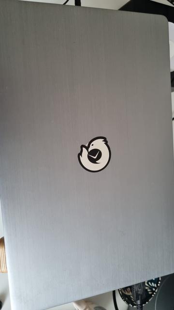 A laptop with a metalic Thunderbird sticker on it