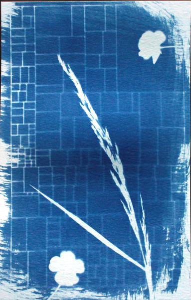 A cyanotype print of an irregular grid of rectangles that fade from left to right. several plants are overlaid on the grid.