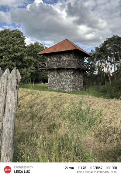Der Limesturm bei Watzenborn-Steinberg, Gemeinde Pohlheim, Landkreis Gießen. Im Vordergrund sieht man im linken Bildrand noch einige Baumstämme der Palisade.