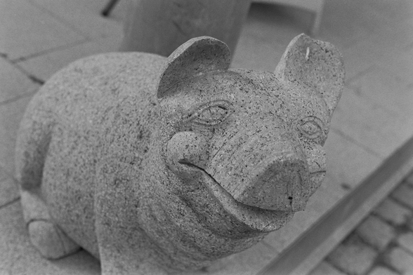 ein Schwein aus Stein lächelt den Betrachter an. Das Foto ist in schwarz-weiß.