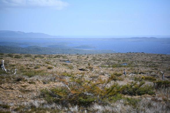 La photo montre la vue sur le lac Navarino et la baie Windhond. Le relief semble plat. Le sol s'étire et se confond dans la continuité du lac. Le ciel légèrement voilé participe au tableau.