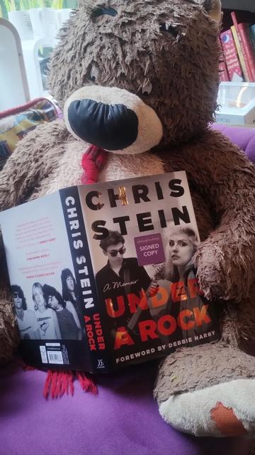 Hugless Douglas teddy bear reading a copy of Chris Stein's memoir Under a Rock, on a chair in the Edinburgh Bookshop