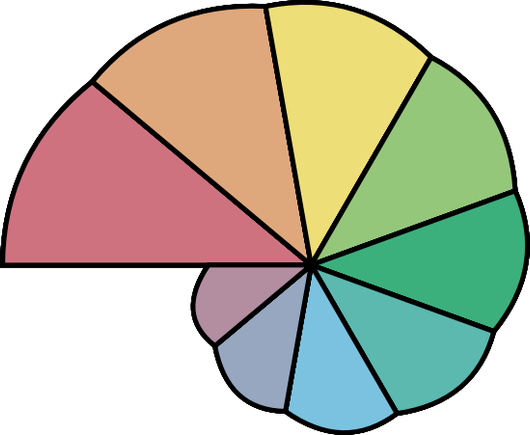 A rainbow-coloured nautilus, with a single point in the middle where all the lines meet rather. The nautilus has a spiral like shape but with scalloped bumps for each segment of the shell. Each shell segment has a different colour. The largest segment is on the left.
