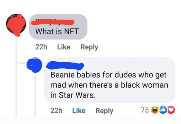 What is NFT

Beanie babies for dudes who get mad when there's a black woman in Star Wars.