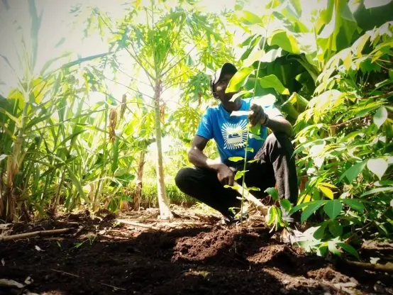 man looking a crop