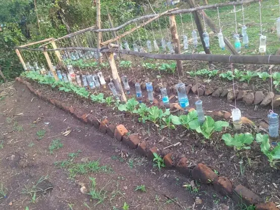 recycling water bottle