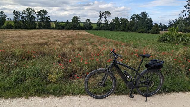 Photo of a black eBike in front of a brown-ish field that has a good amount of poppies flowering in it. Tall trees behind, and a cloudy sky.