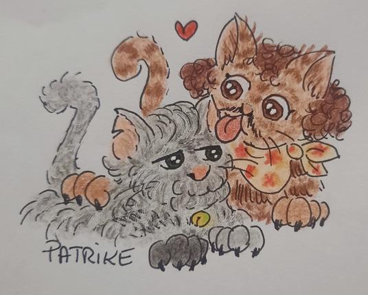 Roach is an orange and brown cat and wears his sash as a scarf around his neck. He is licking Izzy, who is a gray cat with a bell and a black paw.