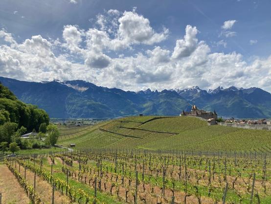 View of the Chateau of Aigle after walking from Ollon