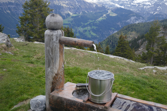 Large pan collecting dripping water under a wooden water source.