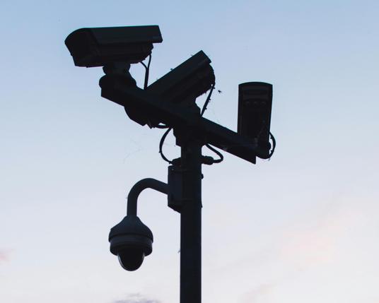 Beitragsfoto von Shane Aldendorff / Pexels