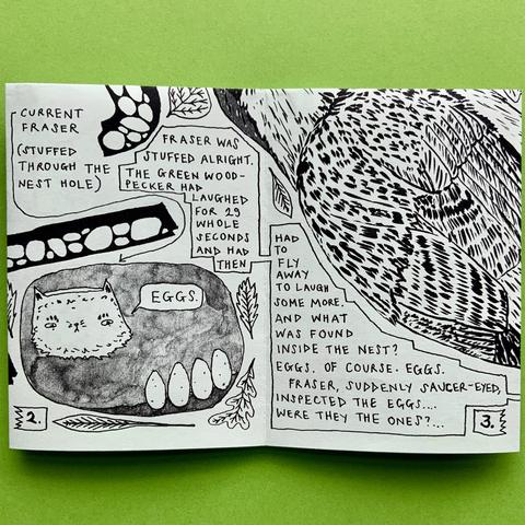 A middle couple of pages from the comic, with a drawing of a green woodpecker. And Fraser, having got stuck inside a nest, talking to some eggs.