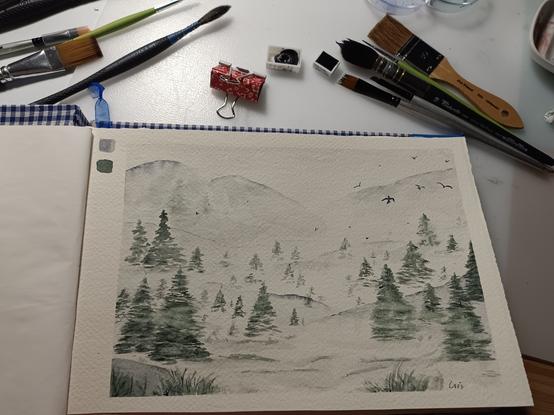 Disegno ad acquerello (foresta nella nebbia)