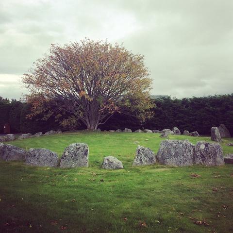 A low stone circle in a manicured lawn beside suburban homes. The sky is mild and not quite blue, and a large rowan grows at the periphery. It has just begun to leaf.