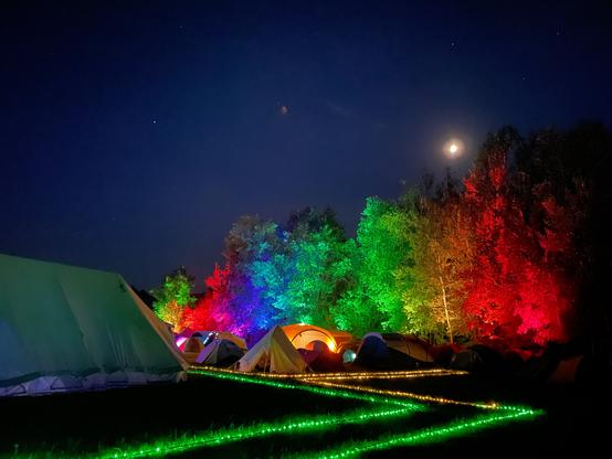 Foto eines regenbogenfarben beleuchteten Stücks Wald mit einigen Zelten und einem mit bunten LED-Streifen markierten Weg davor