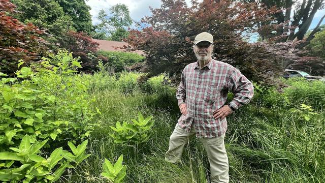 Un homme se tient debout son jardin touffu de plante diverse