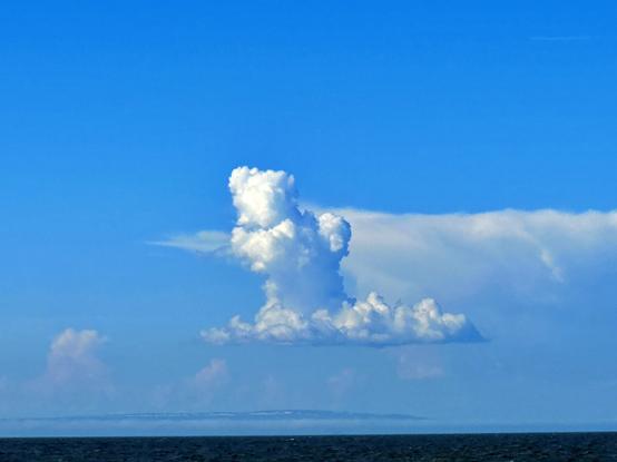 Huge white cloud that I believe looks like a bear.