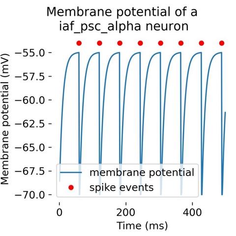 A single neuron simulated with with the iaf_psc_alpha model (leaky integrate-and-fire model with alpha-shaped input currents) with an input current of 376.0 pA in NEST.