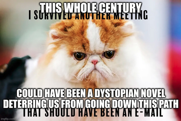 Meme of a cat looking very angrily at the viewer. The original text says "I survived another meeting, that should have been an email". The text written over that thext reads: "This whole century could have been a dystopian novel deterring us from going down this path".