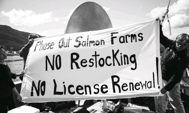 3 of us on large boat holding up a large white fabric protest sign that reads:

Phase Out Salmon Farms
NO Restocking
NO License Renewal!

Black & white photo.